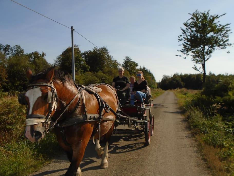 Le GraisGite : La Cochetiere : Ancienne Ferme 18Eme别墅 外观 照片